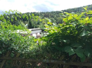 img 20250903 142343 mp