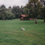 bienenhaus dd1