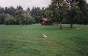 Meine Geschichte bienenhaus dd1