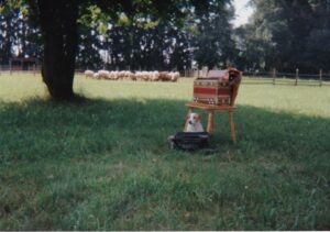 bienenhaus ggg 3