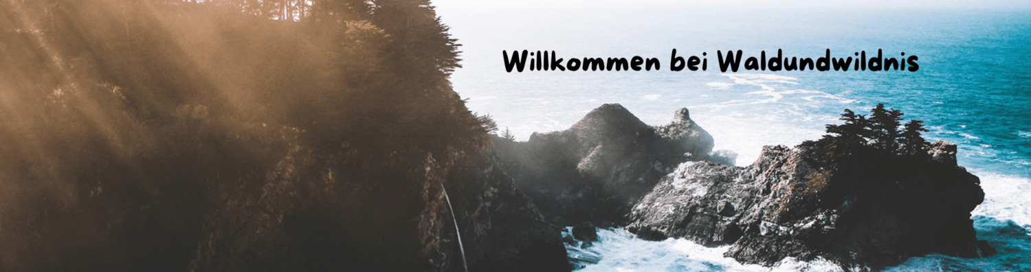 Waldundwildnis.de